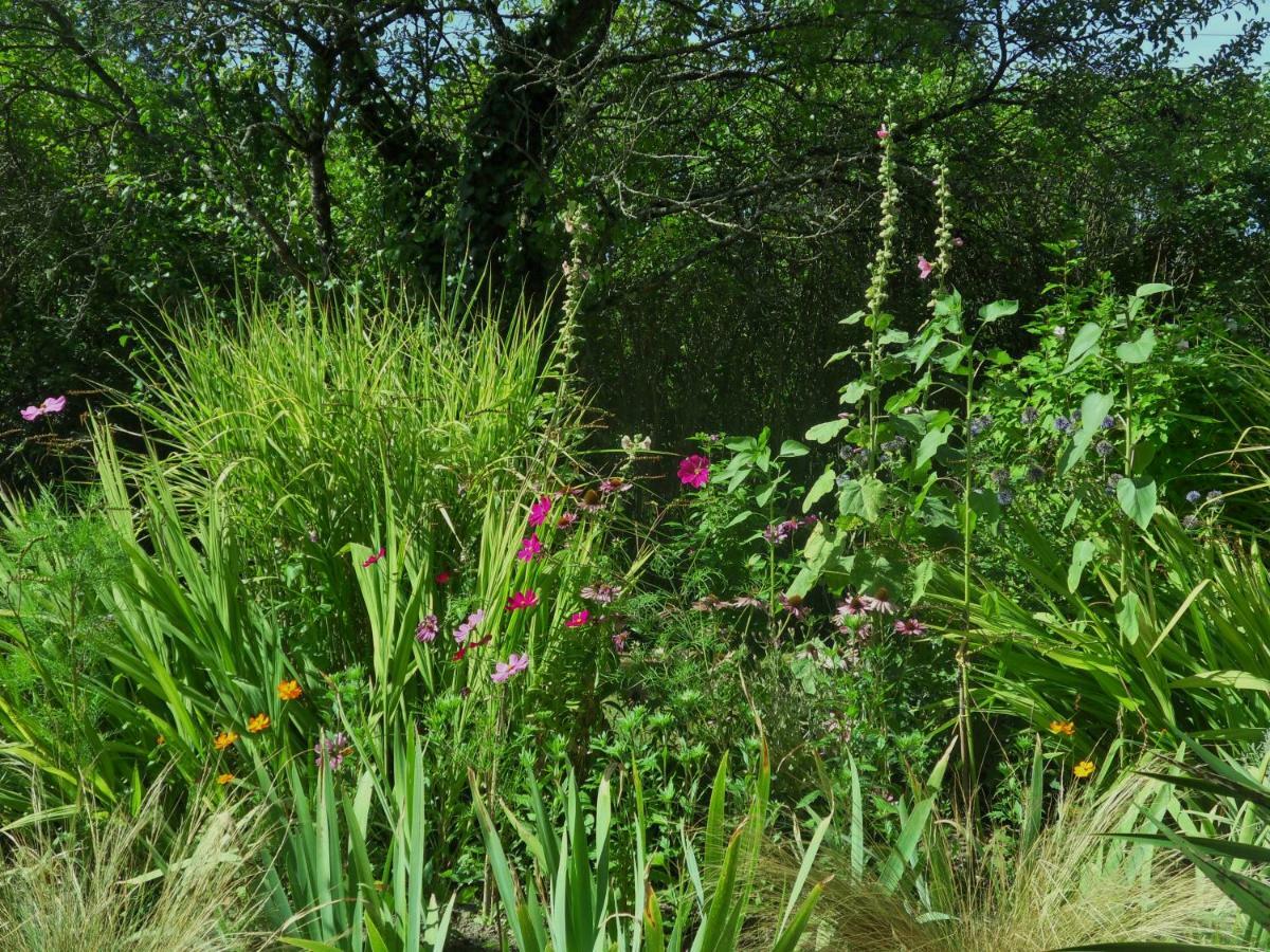 Bed and Breakfast Troglodelice Azay-le-Rideau Exterior foto