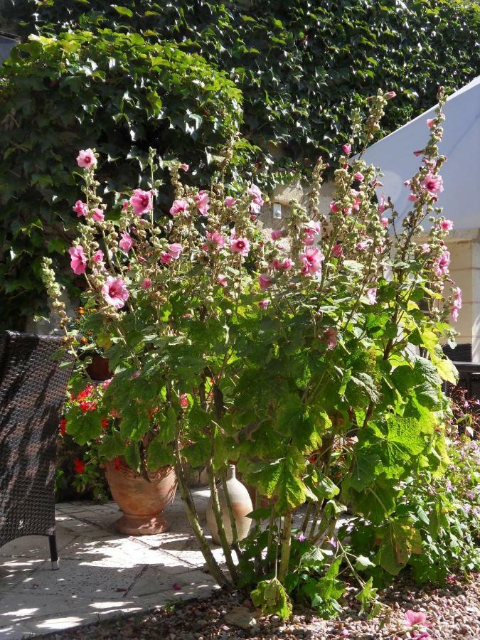 Bed and Breakfast Troglodelice Azay-le-Rideau Exterior foto